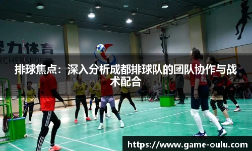 排球焦点：深入分析成都排球队的团队协作与战术配合